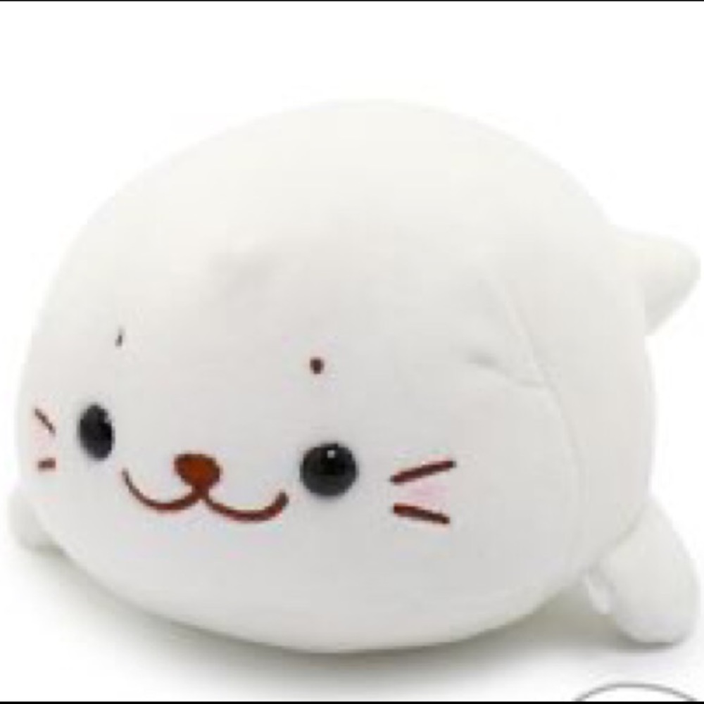 Meet your Posher, Eva